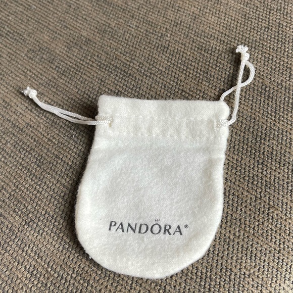 NWT Retired Pandora Limited Edition One in A Million Bangle Bracelet - Picture 9 of 9